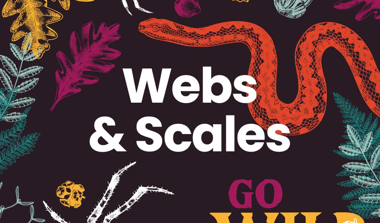 A black background with colourful graphics of spiders, snakes and vegetation.
