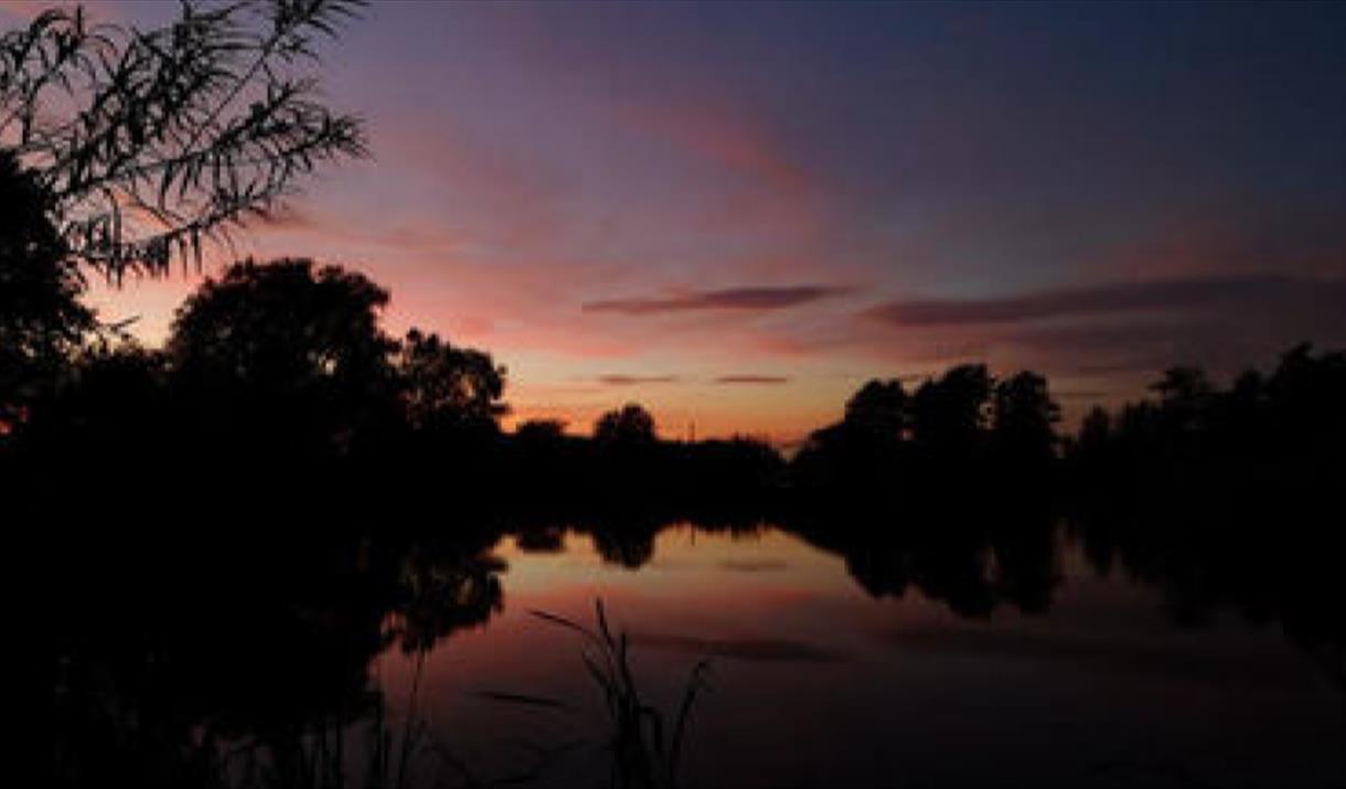 Halloween at Flag Fen