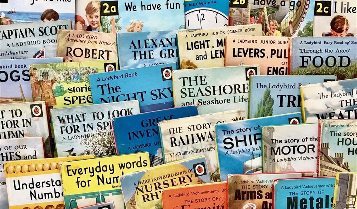 The Wonderful World of the Ladybird Book Artists