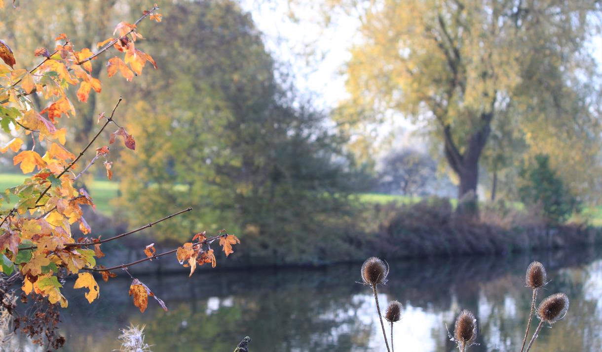 Winter Bird Walk
