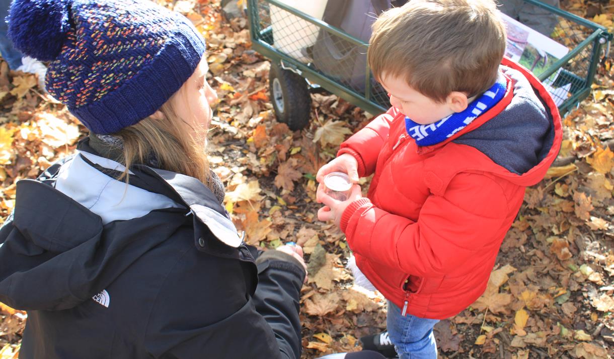 Nature Tots
