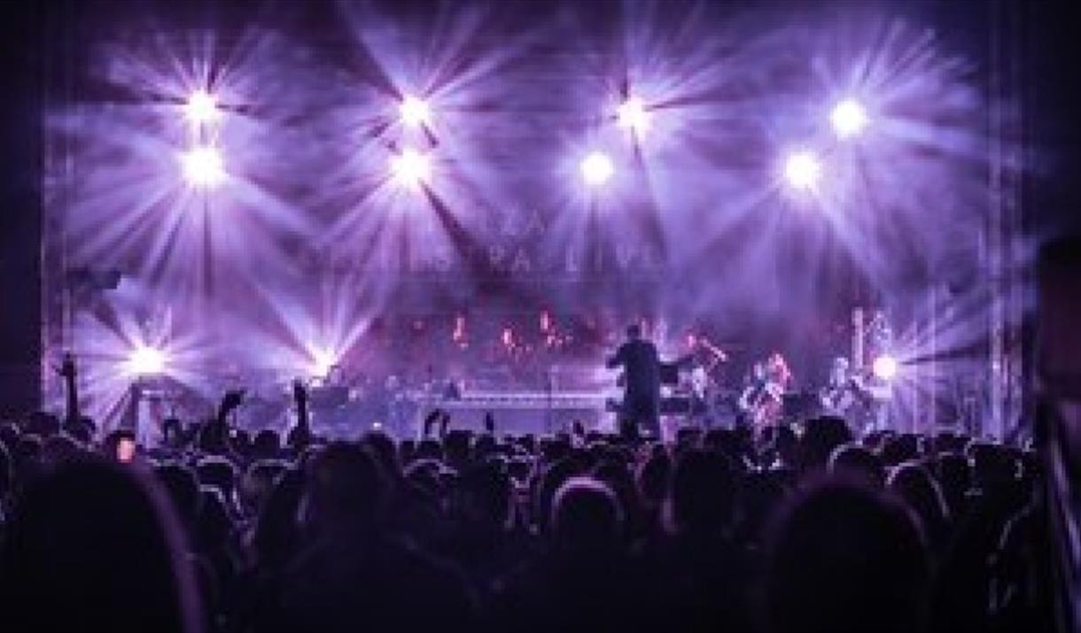 Ibiza Live