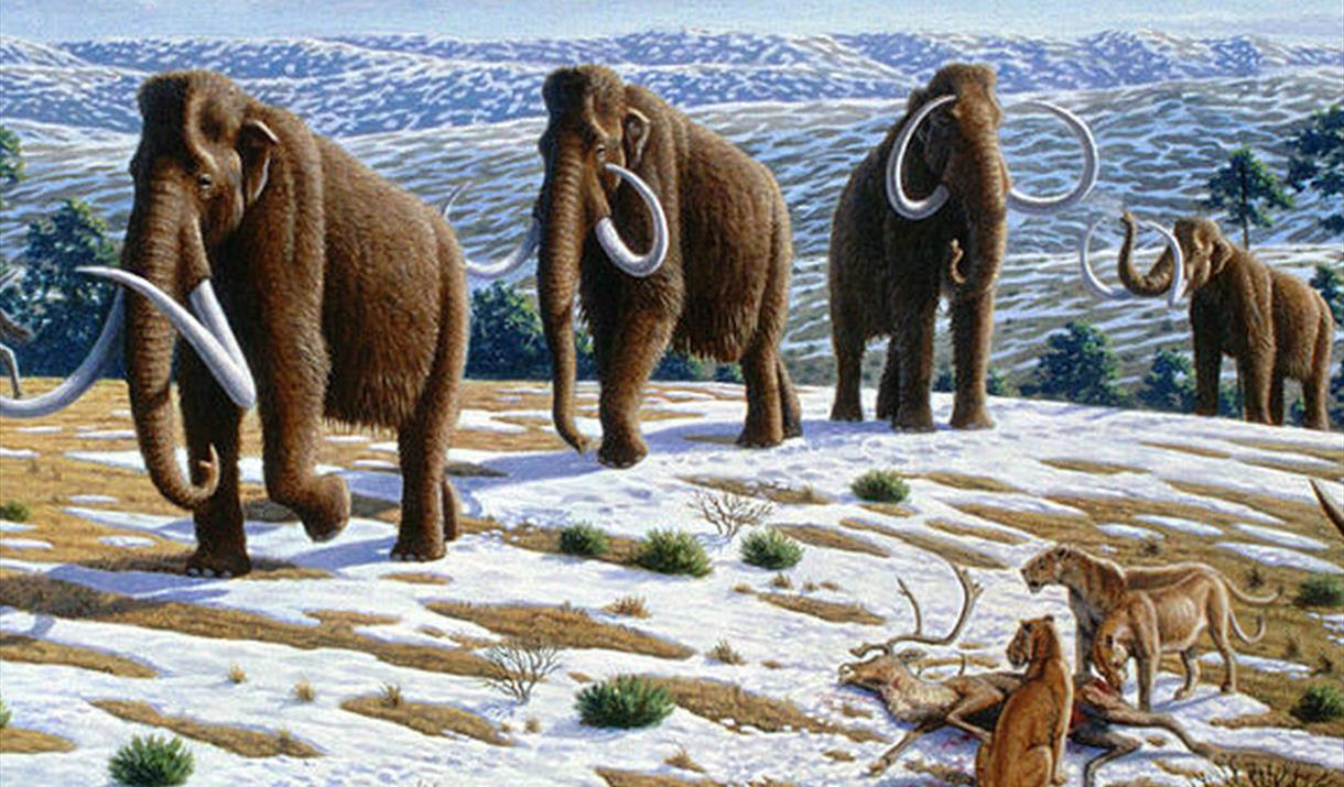 February half term trail & crafts - Ice Age themed!