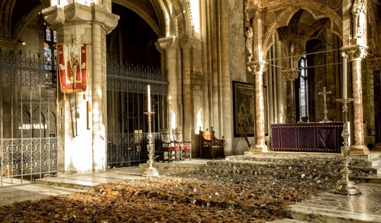 Leaves of the Trees Exhibition at Peterborough Cathedral - by Peter Walker