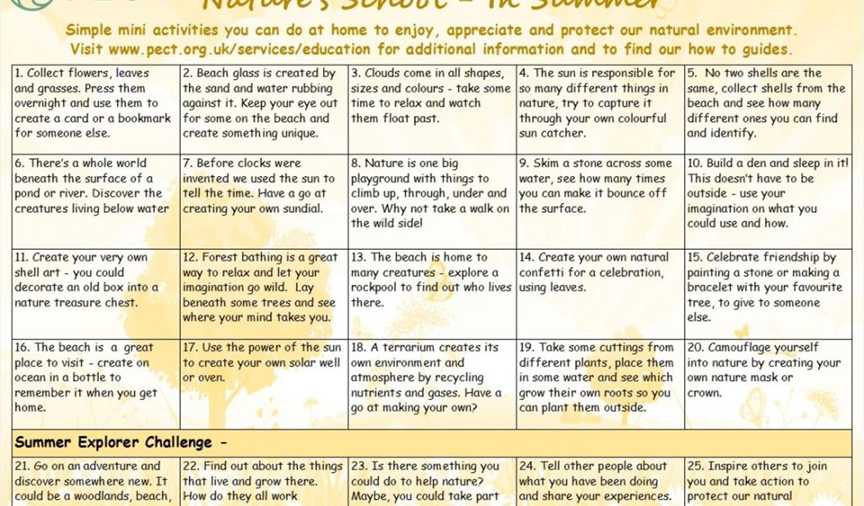 Summer Nature's School Activities