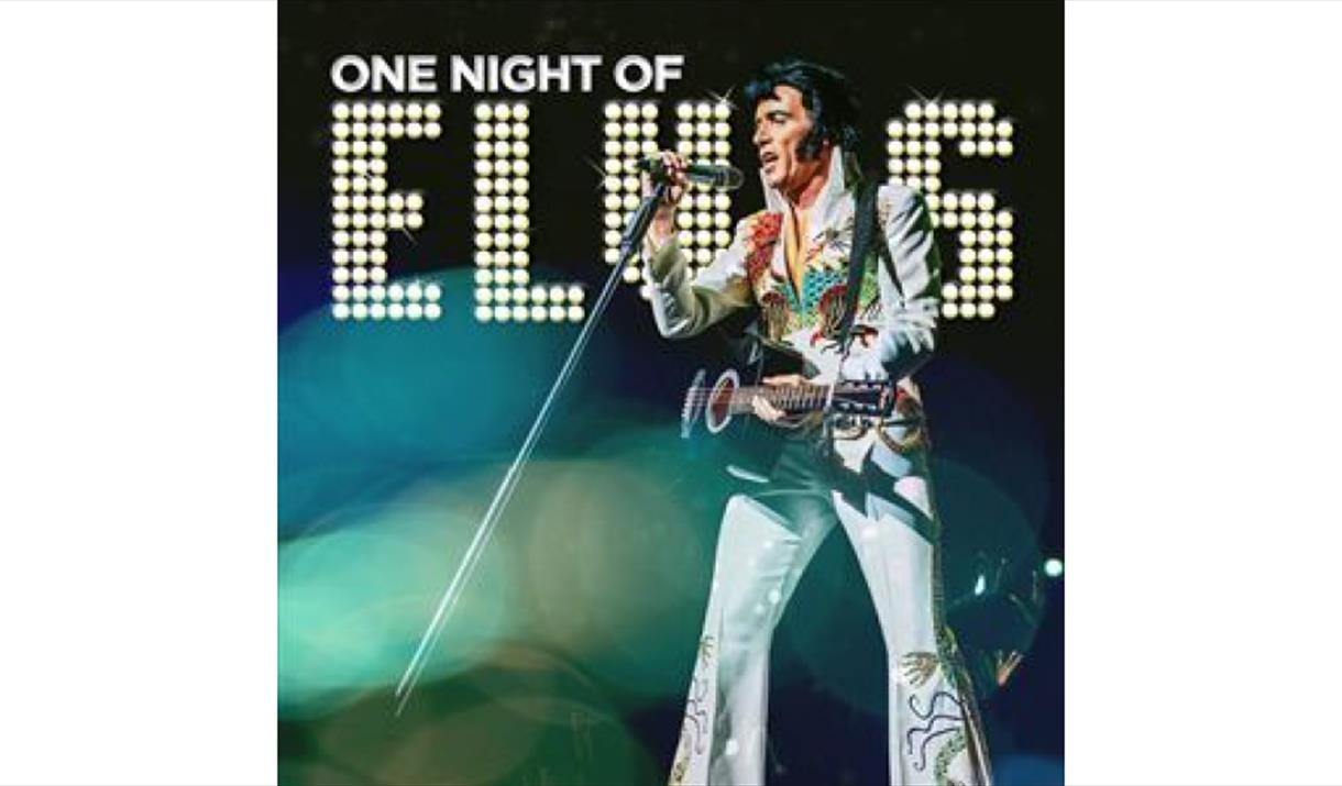 One night with Elvis