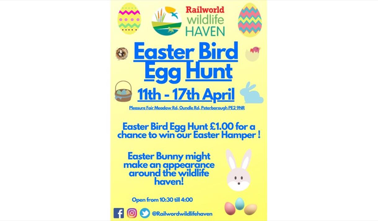 Easter Bird Egg Trail