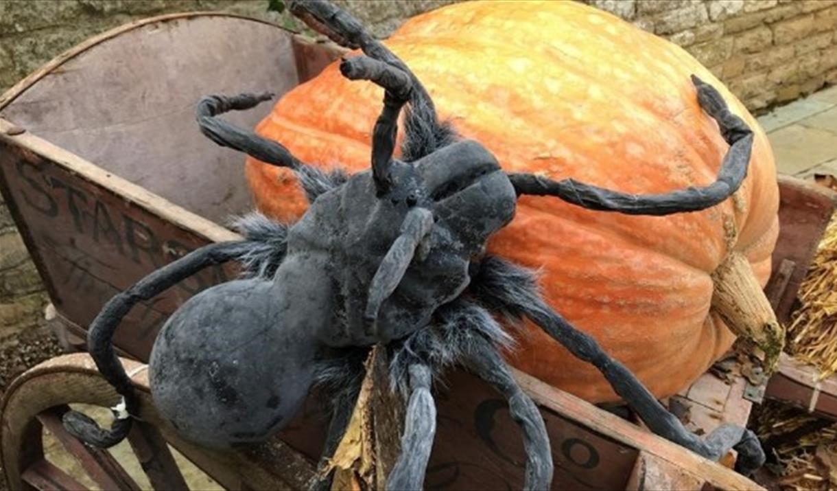 The Burghley Halloween Trail
