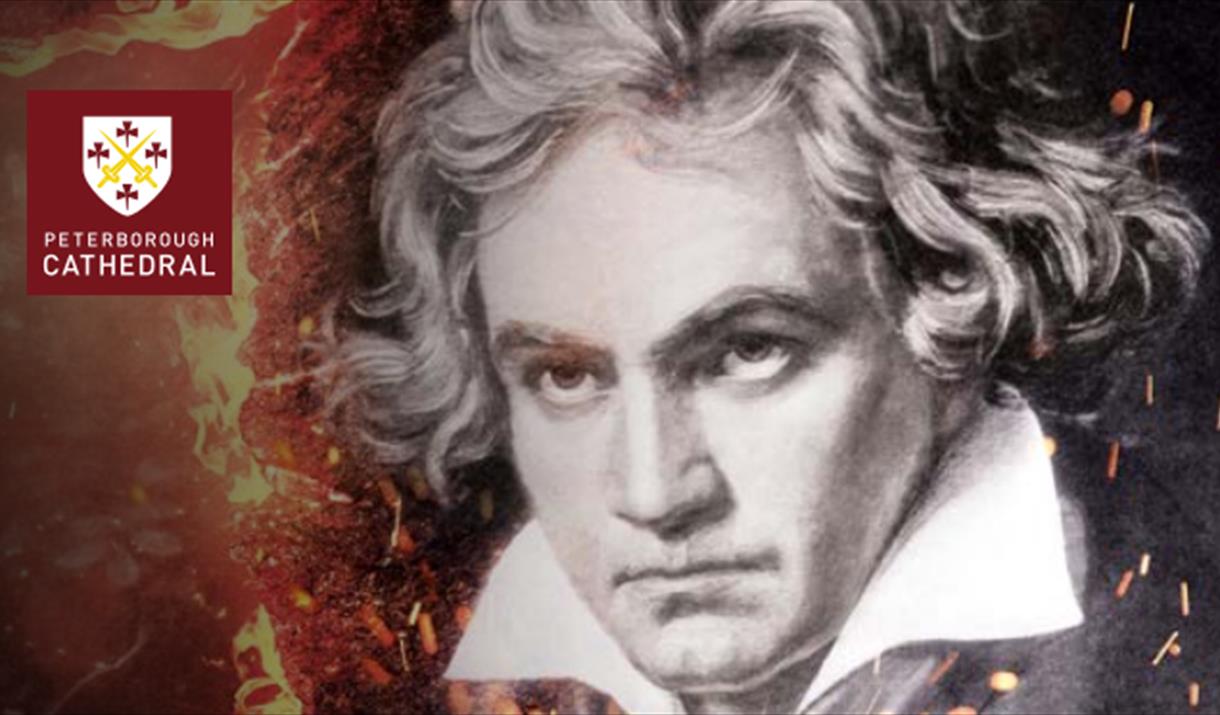 Beethoven: Ninth Symphony Promo Image