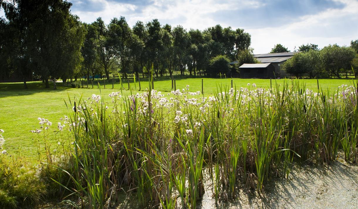 Flag Fen