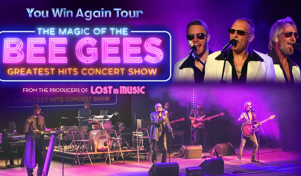 The Magic of the Bee Gees