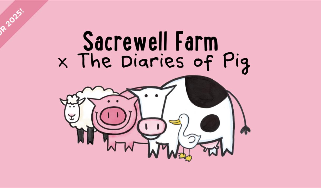 Sacrewell Farm X The Diaries of Pig