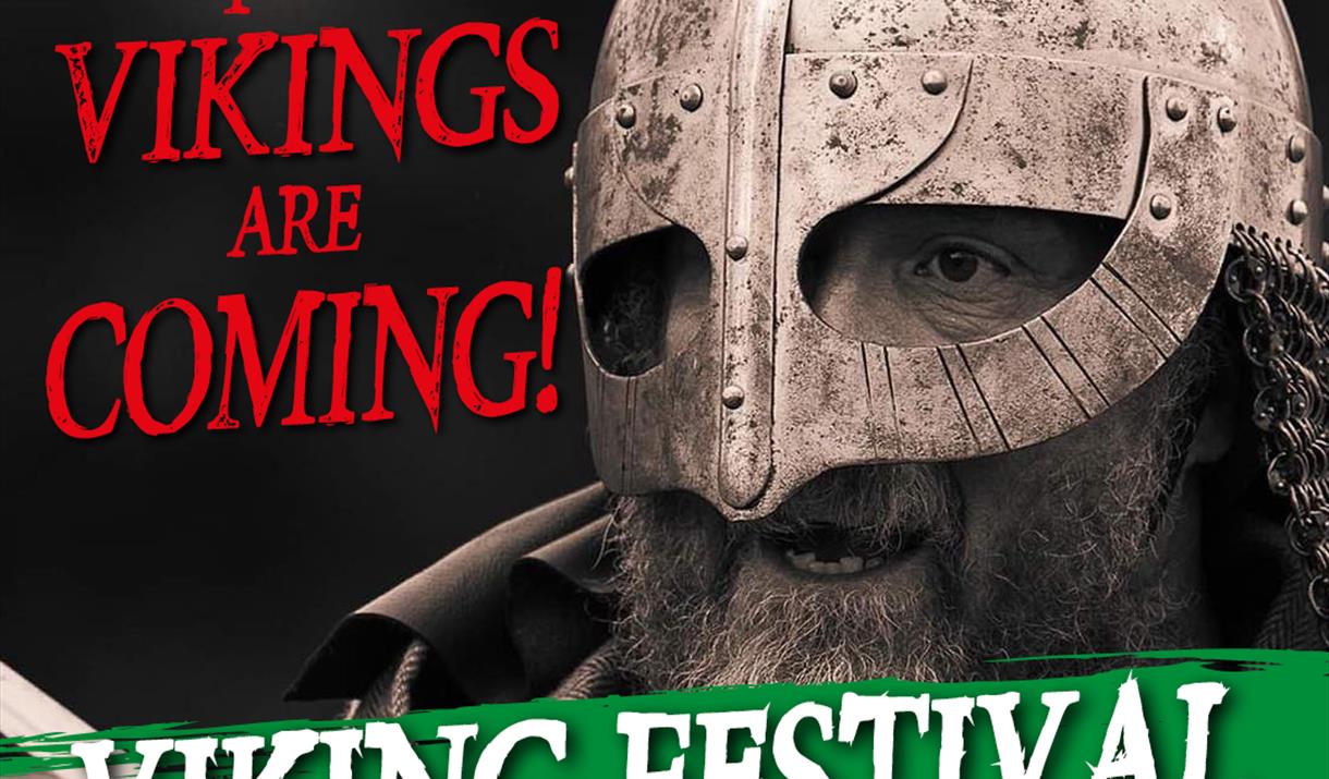 A Viking on a black background. Text reads 'the Vikings are coming! Viking festival, the Battle of Ringmere 1010'.