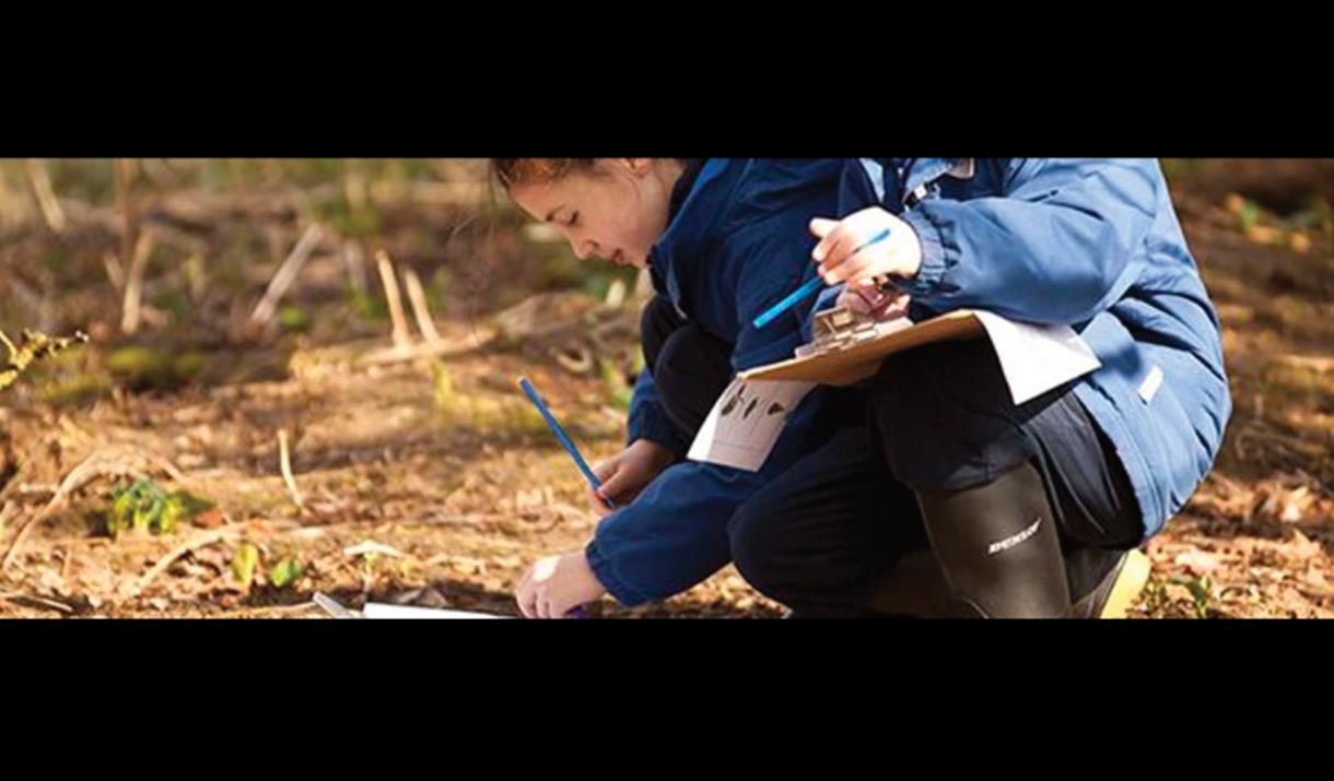Wild Educator