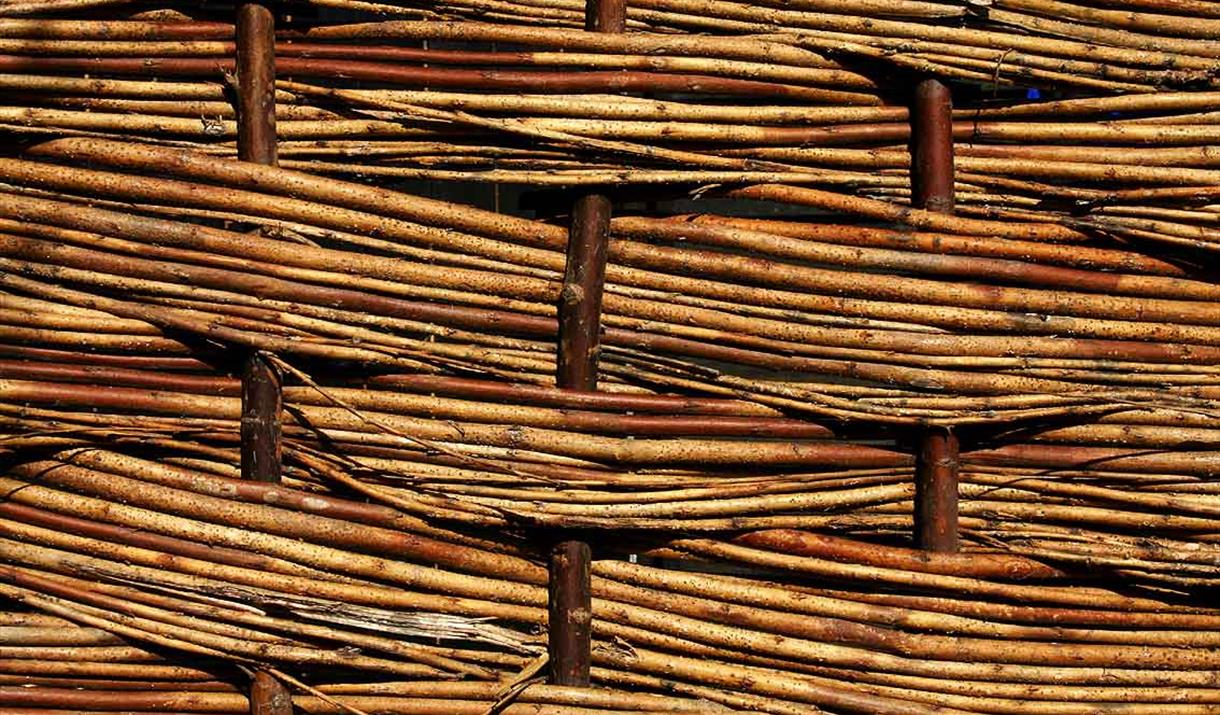 Willow Weaving Stock Image