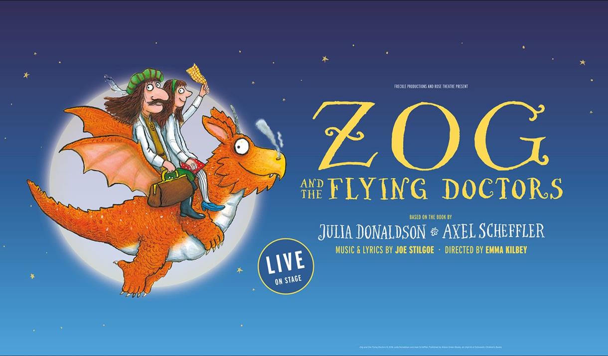 Zog and the Flying Doctors