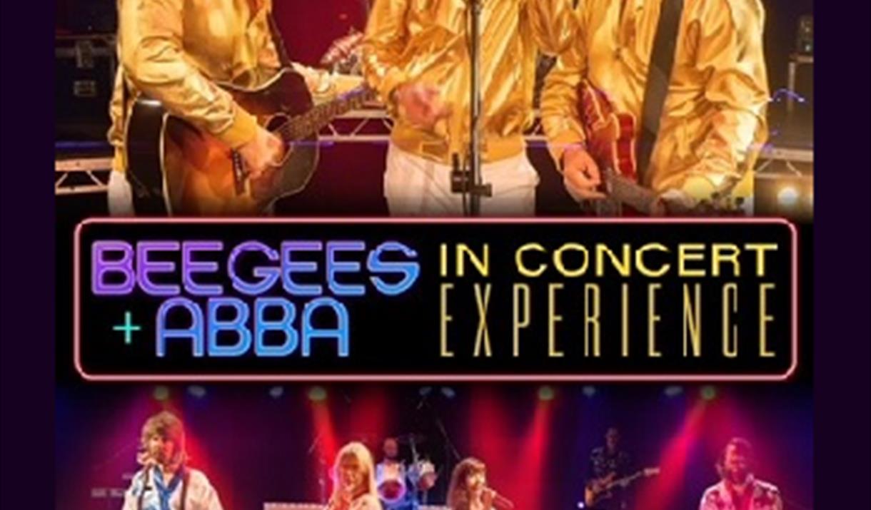 BeeGees + ABBA in concert experience