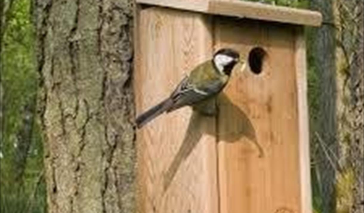 Birdbox stock image