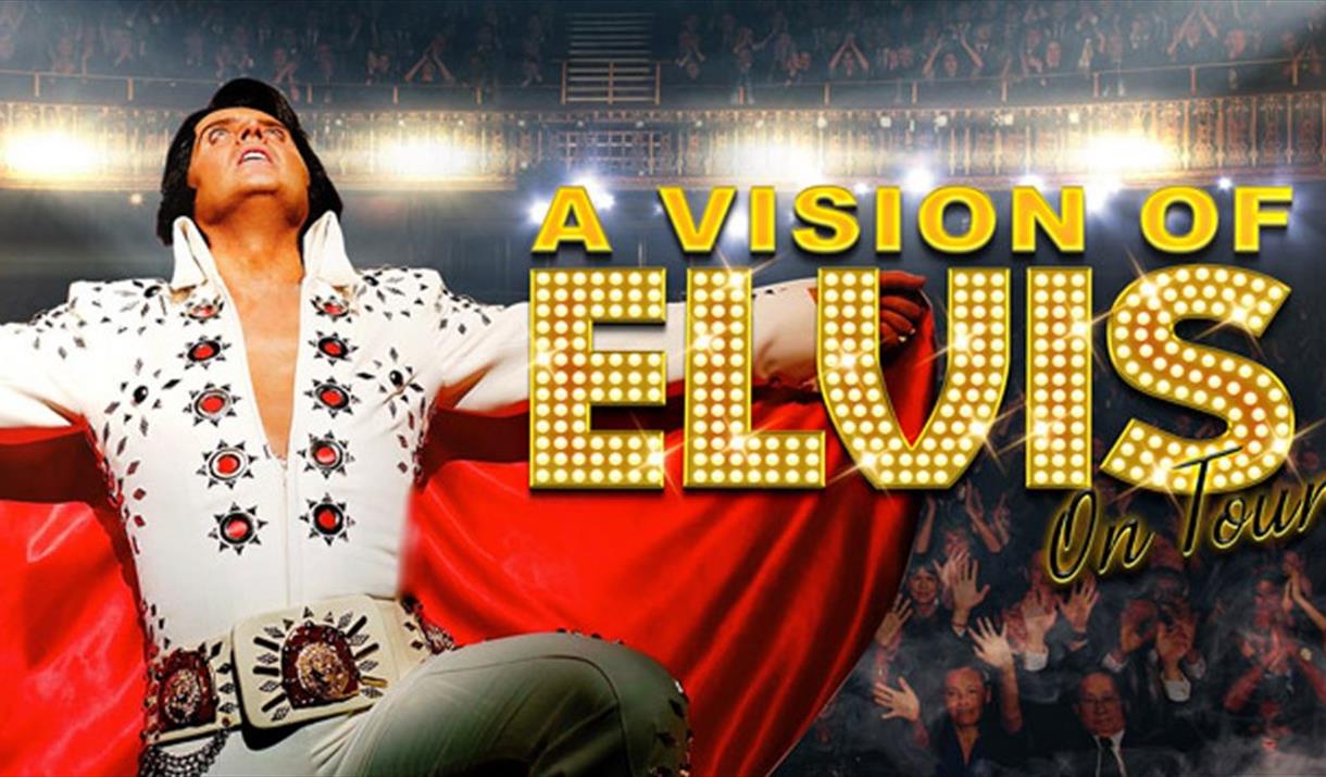 A VISION OF ELVIS