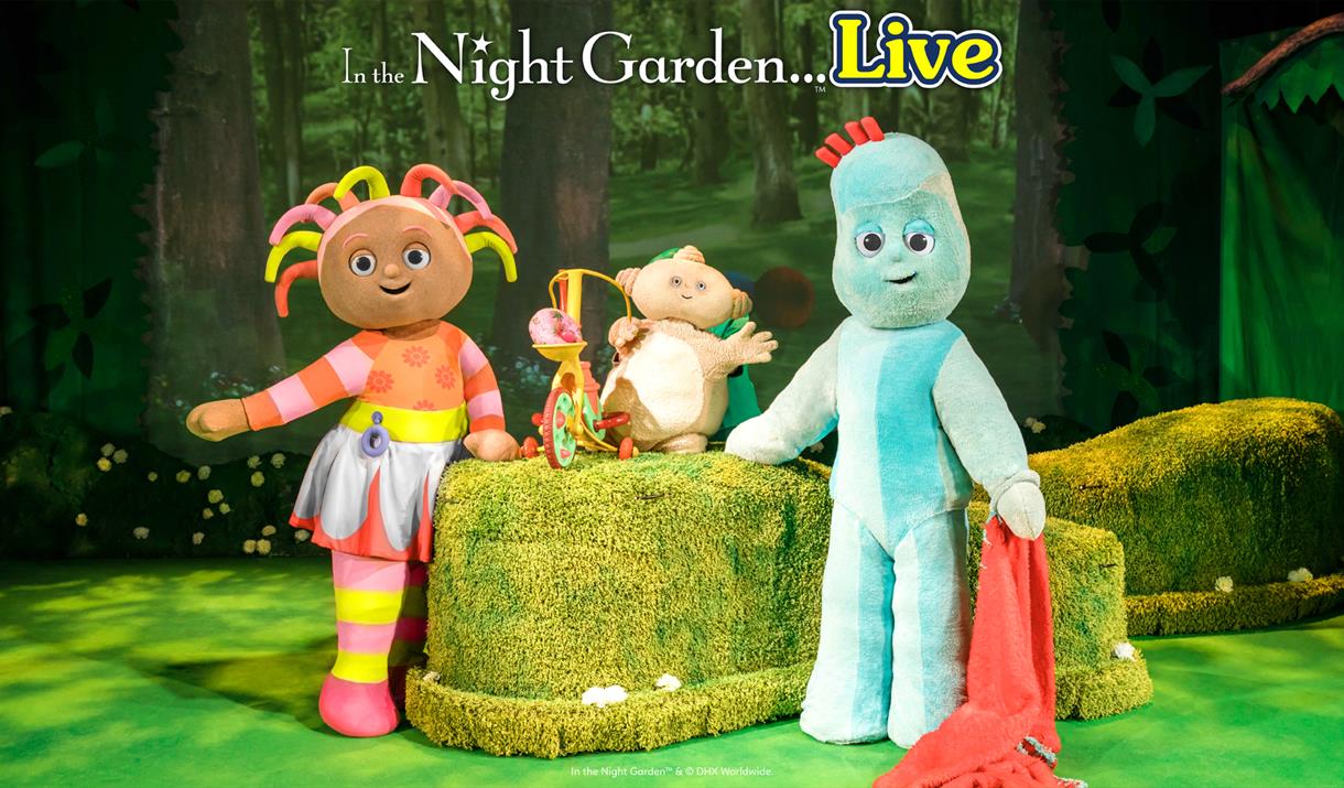 IN THE NIGHT GARDEN LIVE