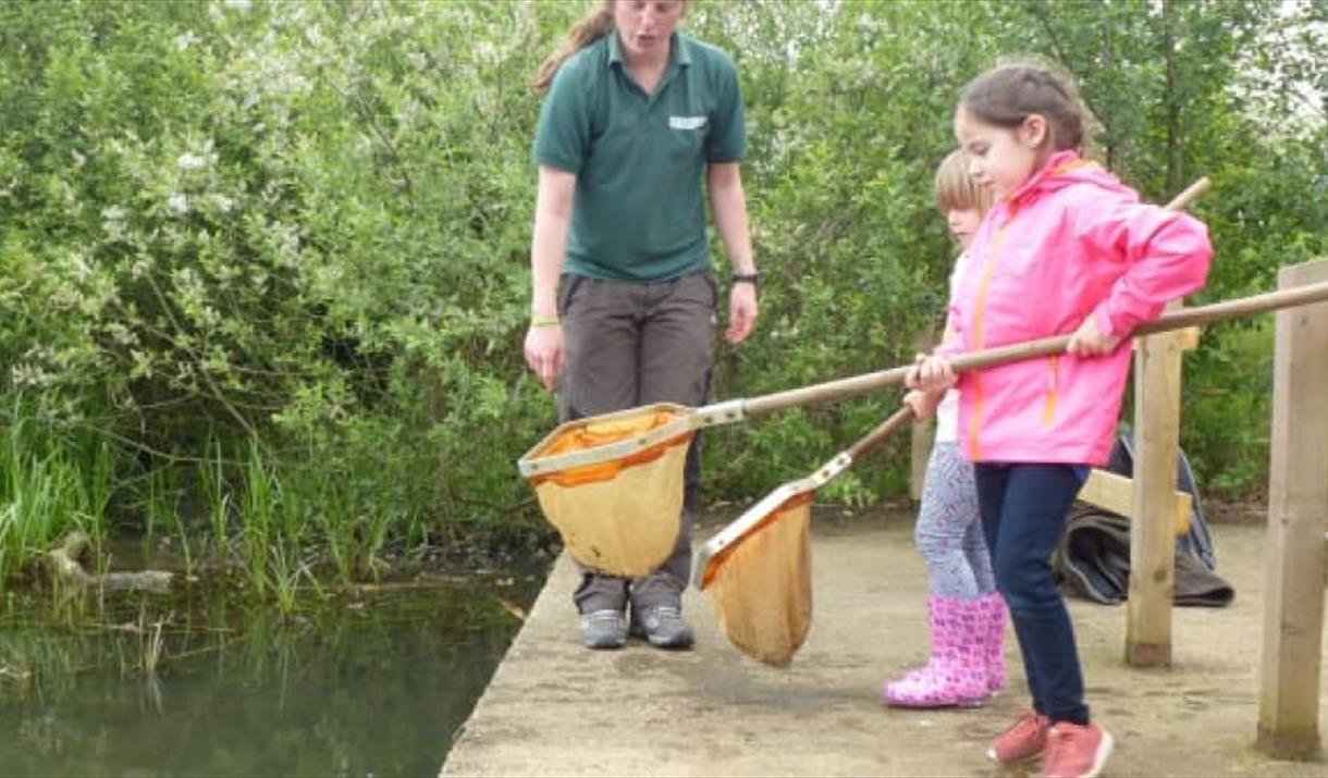 Pond dipping at Nene Park