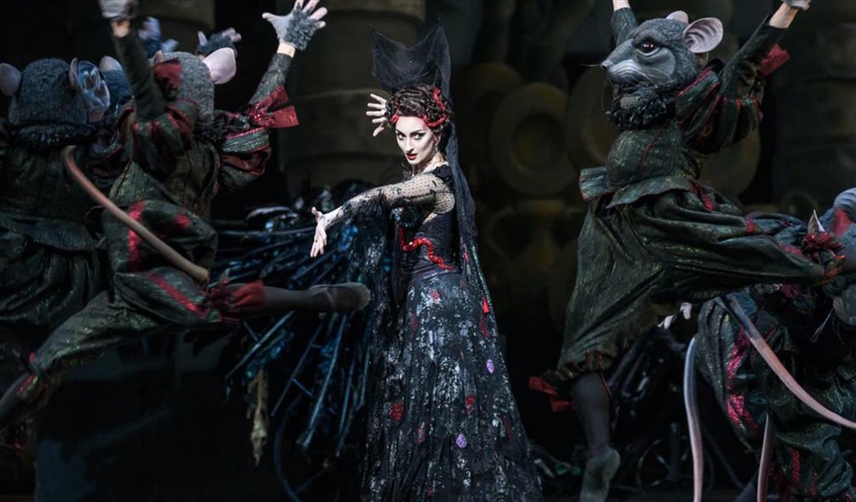 ROH SCREENING: THE SLEEPING BEAUTY