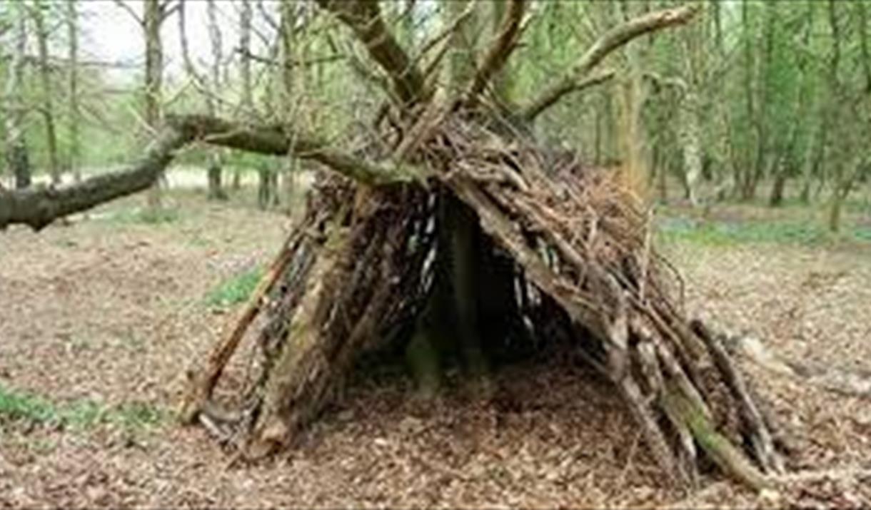 Nene Park Survival Challenge
