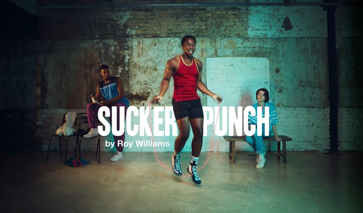 SUCKER PUNCH