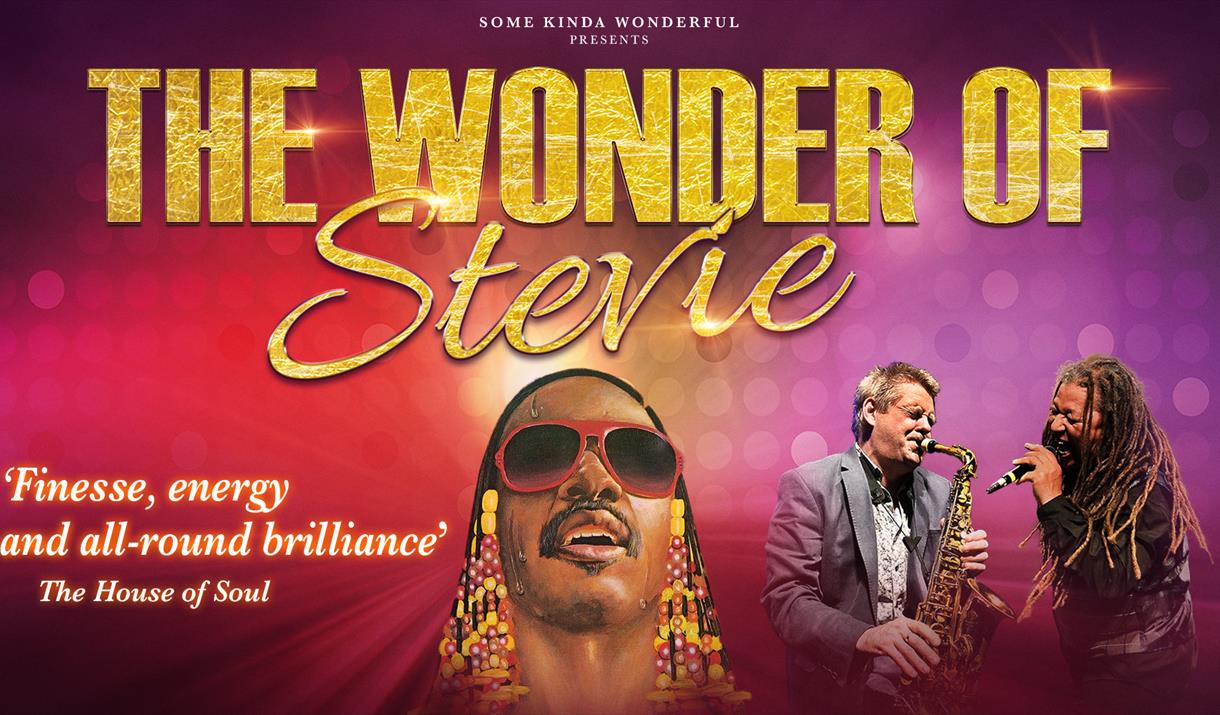 THE WONDER OF STEVIE