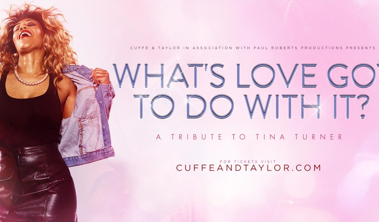 WHAT'S LOVE GOT TO DO WITH IT?