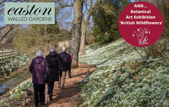 Snowdrop Week and Botanical Art Exhibition
