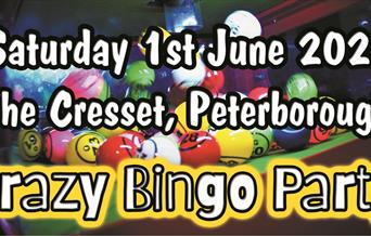 Crazy Bingo Party