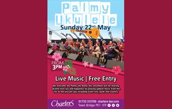 Palmy Ukulele at Charters Bar