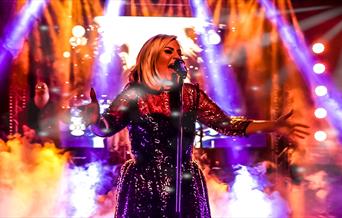 ADELE - the journey so far