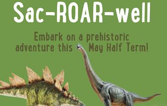 Sac-Roar-Well May Half Term