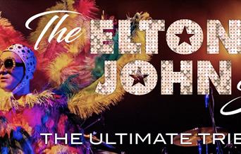 THE ELTON JOHN SHOW