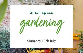 Small space gardening