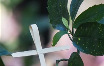 Palm Sunday

