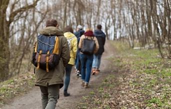 A group of people walk single-file through an autumn wood.