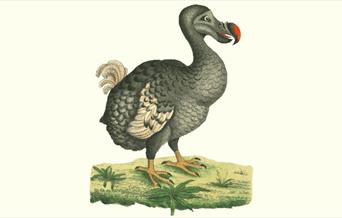 Extinction exhibition at Peterborough Museum
