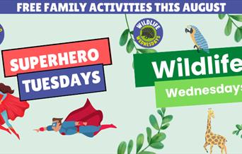 Family activities at City College Peterborough