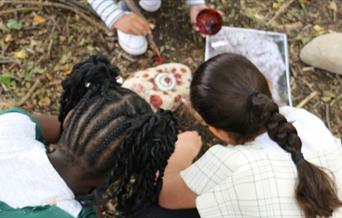 Flag Fen home educators