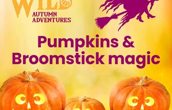 A yellow background with carved pumpkins. Purple text reads 'pumpkins and broomstick magic'.