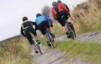 Guided Cycle Ride at Nene Park