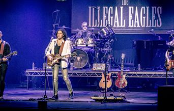 The Illegal Eagles