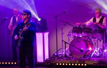 Barry Steele in The Roy Orbison and Traveling Wilburys Story