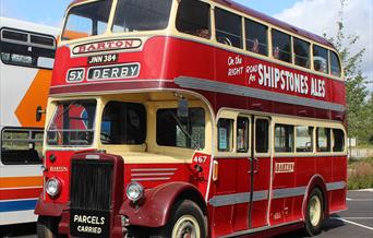 The buses festival 2021