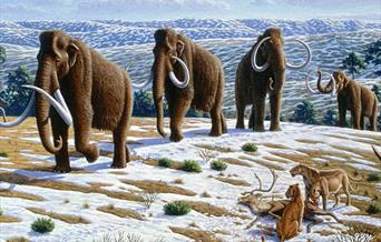 February half term trail & crafts - Ice Age themed!