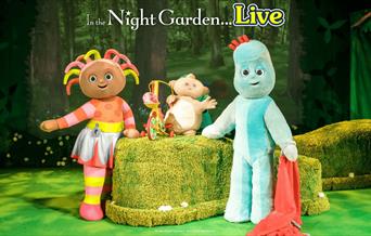 In the Night Garden
