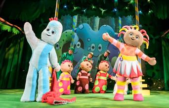 In the Night Garden